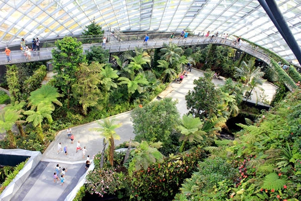 Khu vườn nhiệt đới trong nhà kính (Cloud Forest) nằm trong khu Gardens by the bay. Để đến điểm này bạn sẽ dừng ở trạm CE1 – Bayfront hoặc CE2 – Marina Bay.