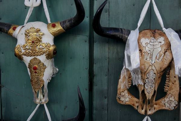 Đầu của những chú bò yak được sơn để trang trí nhà cửa. Ảnh: Damir Sagolj / Reuters