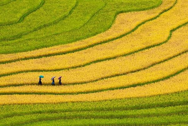 Nếu có thể đi dài ngày thì các địa danh như Sapa, Tây Bắc, Sơn La ở các tỉnh phía Bắc là nơi thích hợp. Nếu có thể đi dài ngày thì các địa danh như Sapa, Tây Bắc, Sơn La ở các tỉnh phía Bắc là nơi thích hợp.