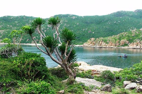 Khu vực biển Bình Tiên và vườn quốc gia Núi Chúa sở hữu khí hậu mát mẻ dễ chịu Khu vực biển Bình Tiên và vườn quốc gia Núi Chúa sở hữu khí hậu mát mẻ dễ chịu