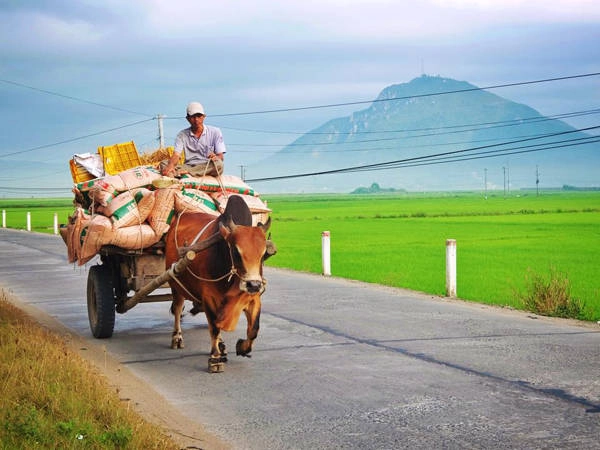 Khung cảnh bình yên, hiền hòa của đất và người Phú Yên. Ảnh: Thiện Nguyễn