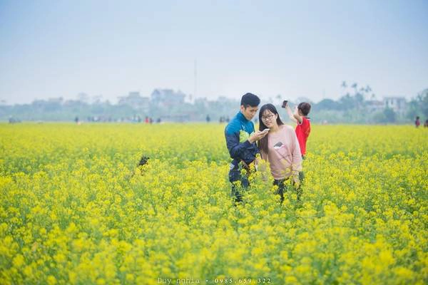 Từ trung tâm thành phố Thái Bình xuống đến thôn Hội Khê chỉ khoảng 20 km, du khách có thể dừng chân tham quan, chụp ảnh ở đồng cải đang vào mùa trổ bông. Từ trung tâm thành phố Thái Bình xuống đến thôn Hội Khê chỉ khoảng 20 km, du khách có thể dừng chân tham quan, chụp ảnh ở đồng cải đang vào mùa trổ bông.
