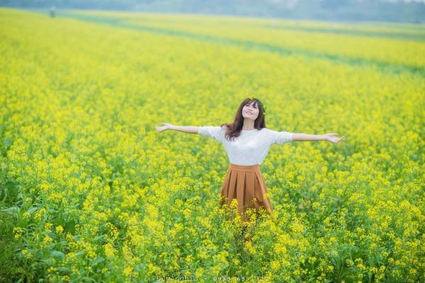 Thôn Hội Khê cũng như các nơi khác của xã Hồng Lý, người dân trồng cải để lấy hạt bởi giá thành hạt giống cho thu nhập cao. Rau cải là cây trồng xen vụ đông, một năm ở xã Hồng Lý có hai vụ lúa và một vụ cải. Mùa trồng cải bắt đầu từ đầu tháng 10 hàng năm và kết thúc vào tháng 2. Thôn Hội Khê cũng như các nơi khác của xã Hồng Lý, người dân trồng cải để lấy hạt bởi giá thành hạt giống cho thu nhập cao. Rau cải là cây trồng xen vụ đông, một năm ở xã Hồng Lý có hai vụ lúa và một vụ cải. Mùa trồng cải bắt đầu từ đầu tháng 10 hàng năm và kết thúc vào tháng 2.