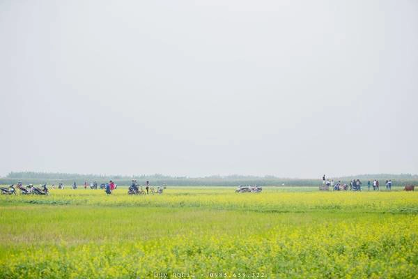 Mùa hoa cải nở, du khách đến tham quan hay chụp ảnh đều không mất tiền phí, hơn nữa còn được người dân chỉ dẫn đường cẩn thận và tận tình. Mùa hoa cải nở, du khách đến tham quan hay chụp ảnh đều không mất tiền phí, hơn nữa còn được người dân chỉ dẫn đường cẩn thận và tận tình.