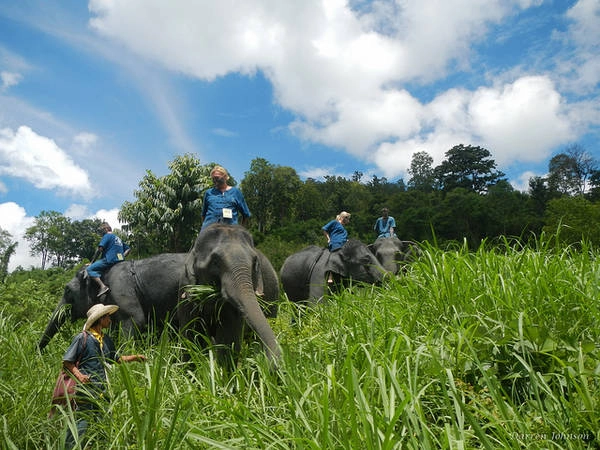 Thai Lan me hoac du khach voi 10 tour du lich an tuong ivivu 3