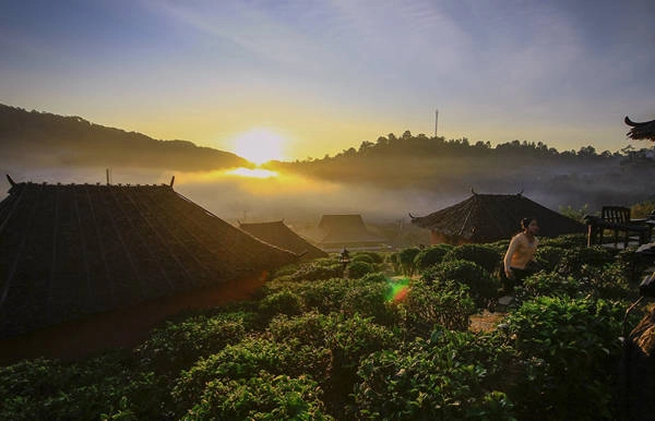 Tại đây có hơn 1.000 người Hoa sinh sống, chủ yếu bằng nghề trồng và chế biến chè.