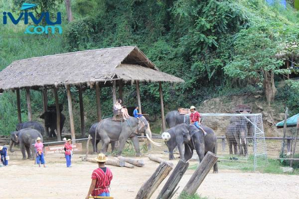 du lịch Thái Lan