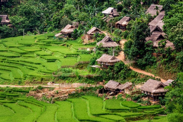 Những nếp nhà sàn nguyên sơ của người Thái tại Kho Mường - Ảnh: Thúy Quỳnh Những nếp nhà sàn nguyên sơ của người Thái tại Kho Mường - Ảnh: Thúy Quỳnh