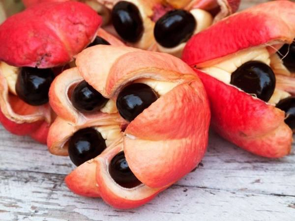 Du lịch thế giới - Ackee là một loại trái cây phổ biến ở Tây Phi