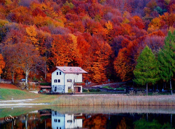 Cây cối ở phía Bắc Italy đang dần chuyển màu và sẽ hoàn toàn đỏ rực khi vào giữa thu.