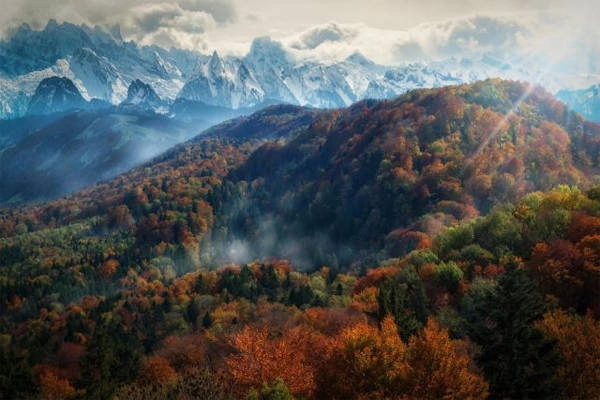 Dãy núi Alps, Thụy Sĩ vào mùa thay lá.