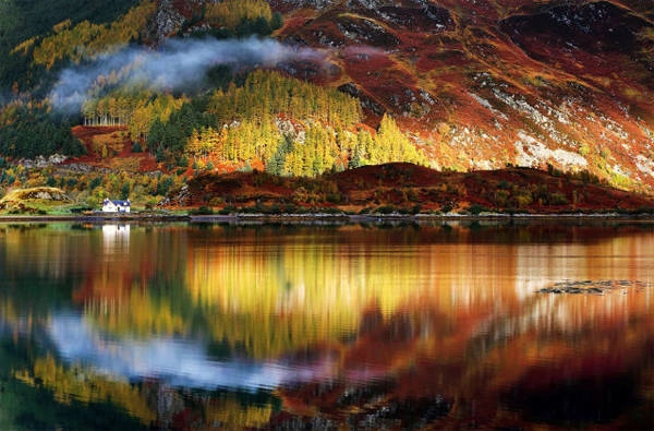 Hàng năm, cứ đến mùa thu, dãy núi ở vùng cao nguyên Scotland lại trở nên rực rỡ sắc màu.