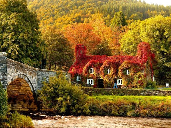 Thị trấn Llanrwst, xứ Wales vào mùa thu trở nên quyến rũ hơn rất nhiều.