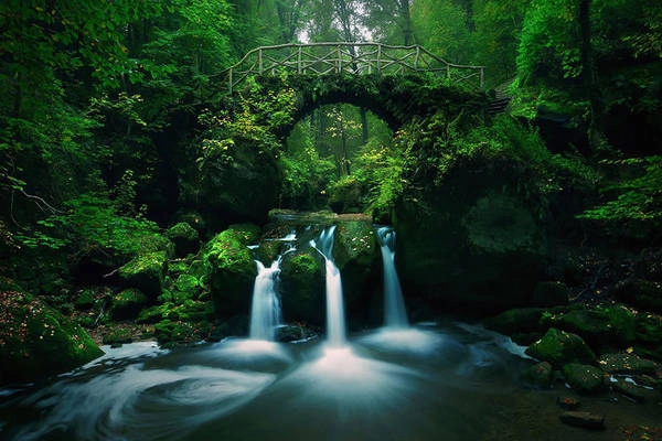 Cầu Mullerthal, Luxembourg và khung cảnh đẹp huyền bí, cuốn hút.