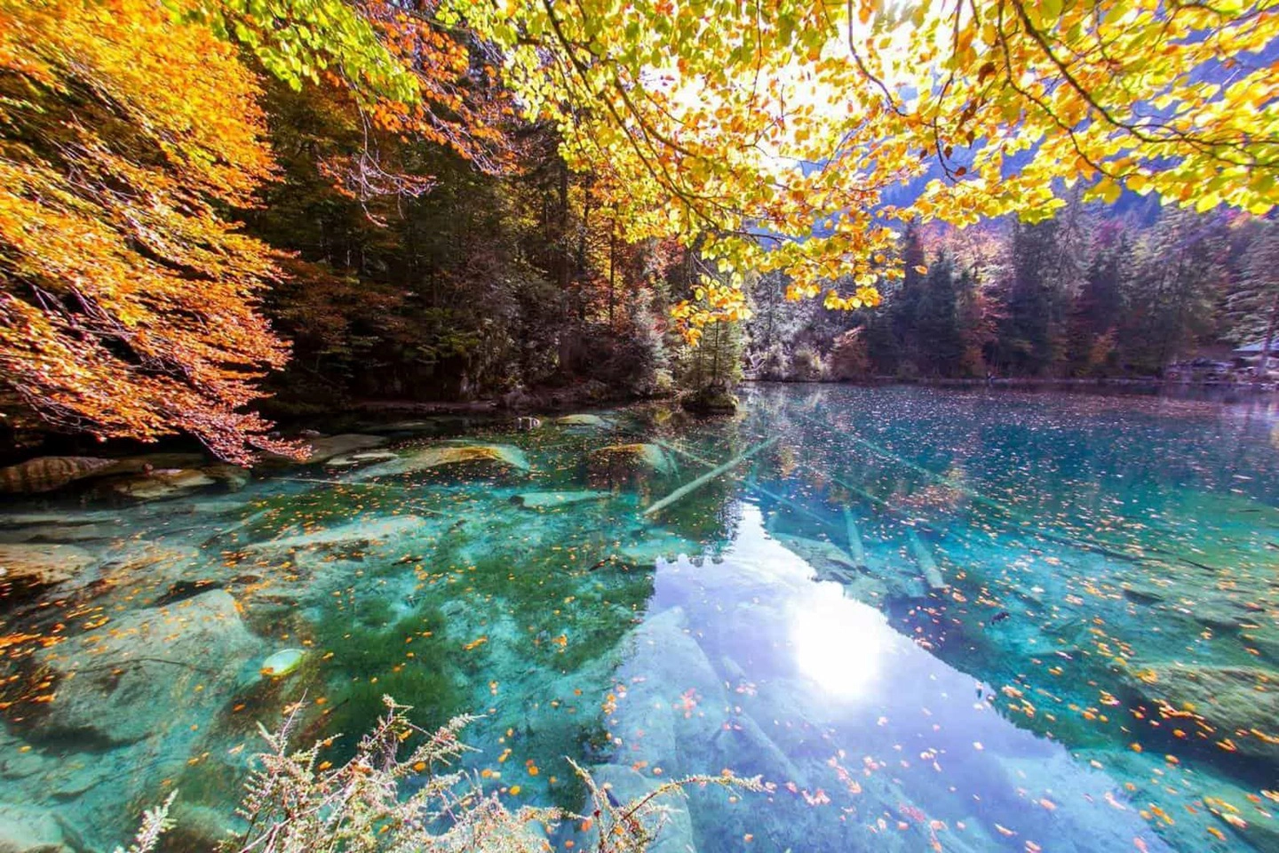 "Viên ngọc quý” Blausee vẫn chưa được nhiều khách du lịch biết đến nên yên ả suốt bốn mùa thay vì chen chúc, ồn ào. Cuối tuần và tháng 7, tháng 8 trong năm là những khoảng thời gian cao điểm bởi hồ Blausee đẹp nhất vào mùa thu. Ảnh: Newinzurich