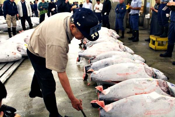 du-lich-tokyo-khong-ton-mot-xu--tai-sao-khong-ivivu-12