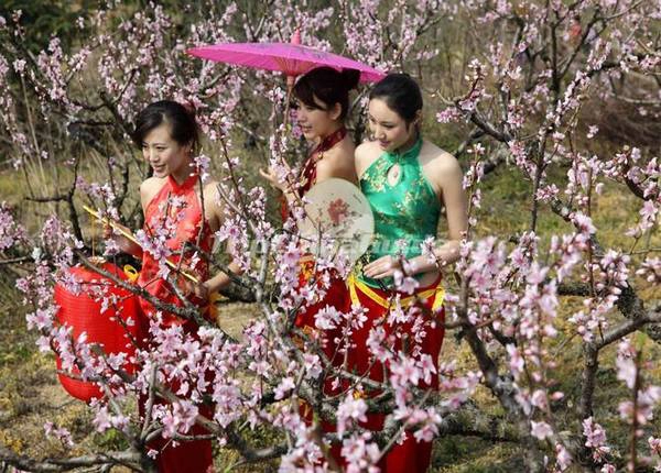 Thưởng hoa ngày Tết. Thưởng hoa ngày Tết.