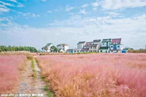 Khu vực này giờ đã trở thành một điểm đến hấp dẫn đối với khách du lịch tại Thượng Hải. Khu vực này giờ đã trở thành một điểm đến hấp dẫn đối với khách du lịch tại Thượng Hải.