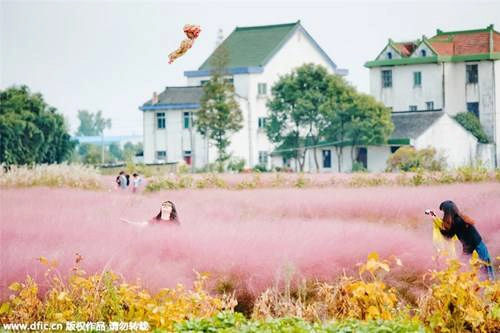 Các cô gái say mê tạo dáng trong đồng cỏ hồng. Các cô gái say mê tạo dáng trong đồng cỏ hồng.