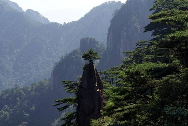 Nói tới “Mộng Bút Sinh Hoa”, đây là một cây cột đá cao ngất trời dựng đứng từ thung lũng sâu, bộ phần dựng đứng ở phần dưới cây cột đá hình tròn và thon thon, giống hệt cán bút, phần trên hình chóp, giống như ngòi bút lông, một cây tùng cổ với bóng cây xanh sinh trưởng trên cột đá, như một bông hoa nở trên ngòi bút lông. Vì vậy mọi người gọi cột đá này là " Mộng Bút Sinh Hoa" và coi là một trong những nét đẹp của Hoàng Sơn. Ảnh: Sohu
