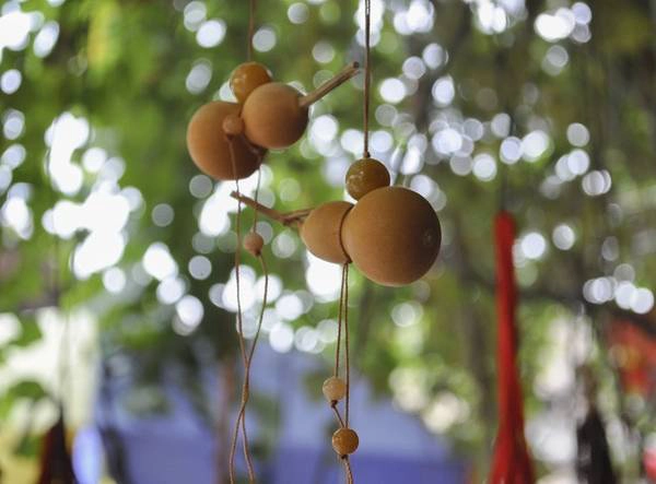 Những chiếc hương lộ xinh xắn thu hút du khách Những chiếc hương lộ xinh xắn thu hút du khách