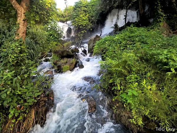 Ảnh: Tiểu Duy Ảnh: Tiểu Duy