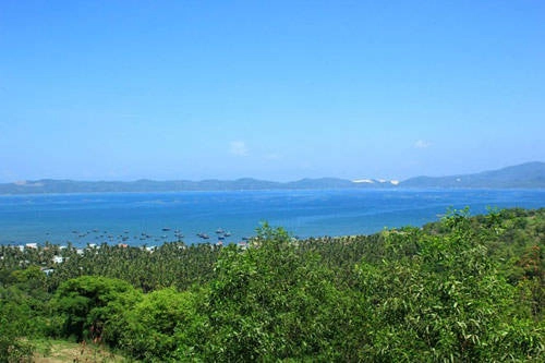 Có vị trí địa lý từ mũi Lưỡi Cày tới hải đăng Gành Đèn. Vịnh Xuân Đài có nhiều bãi tắm đẹp như bãi Ôm, bãi tắm Sông Cầu… Là vịnh có ảnh hưởng kinh tế lớn với sự phát triển của thị xã Sông Cầu đang vươn mình. Có vị trí địa lý từ mũi Lưỡi Cày tới hải đăng Gành Đèn. Vịnh Xuân Đài có nhiều bãi tắm đẹp như bãi Ôm, bãi tắm Sông Cầu… Là vịnh có ảnh hưởng kinh tế lớn với sự phát triển của thị xã Sông Cầu đang vươn mình.