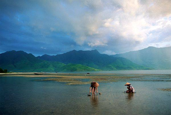 Hai người phụ nữ Việt Nam đang bắt ốc để chuẩn bị bữa tối cho gia đình. Hai người phụ nữ Việt Nam đang bắt ốc để chuẩn bị bữa tối cho gia đình.