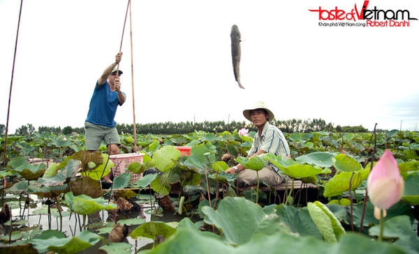 Chèo xuồng câu cá tại Đồng Tháp. Ảnh: tasteofvietnam