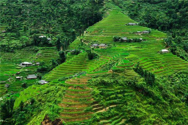 Khung cảnh bao la xanh mướt của những thửa ruộng bậc thang trải đều tít tắp ở Hoàng Su Phì. Khung cảnh bao la xanh mướt của những thửa ruộng bậc thang trải đều tít tắp ở Hoàng Su Phì.