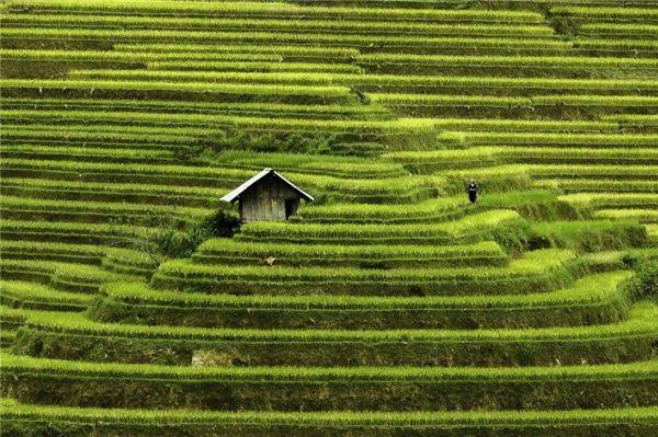 Chỉ cần một chiếc máy ảnh du lịch, du khách sẽ dễ dàng ghi lại những khung hình đẹp về ruộng bậc thang ở Mù Cang Chải. Chỉ cần một chiếc máy ảnh du lịch, du khách sẽ dễ dàng ghi lại những khung hình đẹp về ruộng bậc thang ở Mù Cang Chải.