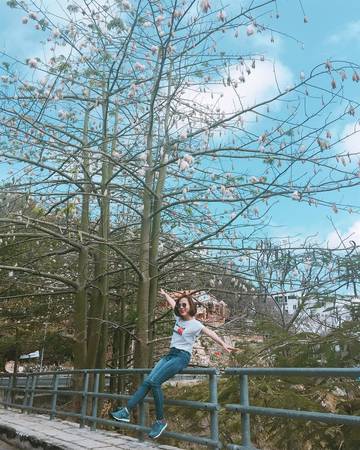 Ảnh: Ngân Hoàng Ảnh:Ngân Hoàng