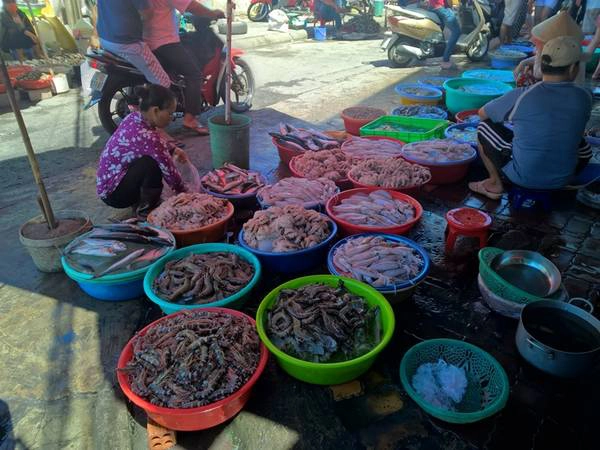 Hải sản đa dạng và nhiều vô số. Ảnh: Tiểu Duy Hải sản đa dạng và nhiều vô số. Ảnh: Tiểu Duy