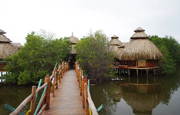 Với đoàn 5 - 8 người có thể thuê cả cano để đi các tour tham quan quanh Vũng Tàu. Đảo Ngọc bao trùm là rừng ngập mặn có diện tích 61ha với các loài chim quý hiếm, hải sản trú ngụ trên đảo. Tour tham quan ở đây có giá 100.000 đồng/ người. Ảnh: Hương Chi.