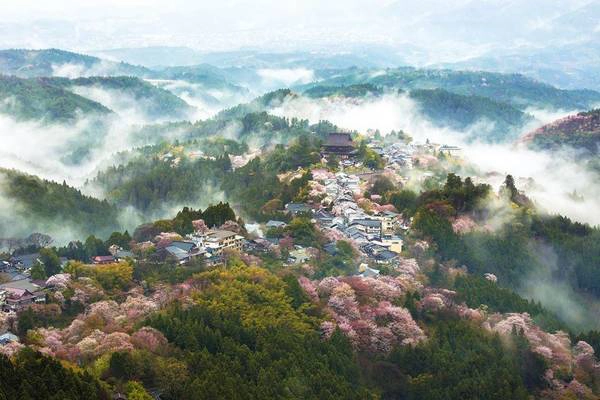 Gọi mùa hoa anh đào là "mùa kỳ diệu nhất của Nhật Bản", tạp chí National Geographic mới đây đã đăng tải loạt ảnh tuyệt đẹp hoa anh đào xứ Phù Tang. Gọi mùa hoa anh đào là "mùa kỳ diệu nhất của Nhật Bản", tạp chí National Geographic mới đây đã đăng tải loạt ảnh tuyệt đẹp hoa anh đào xứ Phù Tang.