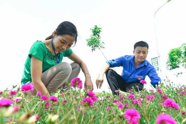 Chị Hồng Thanh, Bí thư chi đoàn trường Mầm non Khai Thái, cho biết cứ một tháng hai lần, Đoàn Thanh niên lại tổ chức nhổ cỏ, nhặt lá để cây hoa mười giờ phát triển tốt. Chị Hồng Thanh, Bí thư chi đoàn trường Mầm non Khai Thái, cho biết cứ một tháng hai lần, Đoàn Thanh niên lại tổ chức nhổ cỏ, nhặt lá để cây hoa mười giờ phát triển tốt.