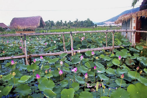Khu đầm nằm trên tuyến đường từ trung tâm ra sân bay Cam Ranh.