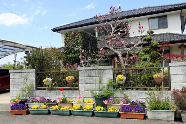 fukushima-vung-dat-cua-nhung-ho-nuoc-xanh-tuyet-dep-ivivu-10