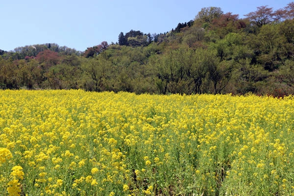 fukushima-vung-dat-cua-nhung-ho-nuoc-xanh-tuyet-dep-ivivu-11