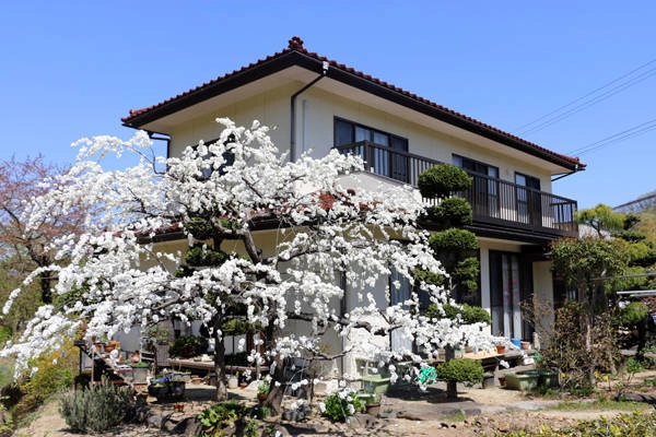 fukushima-vung-dat-cua-nhung-ho-nuoc-xanh-tuyet-dep-ivivu-12