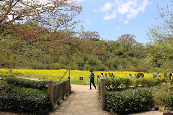 fukushima-vung-dat-cua-nhung-ho-nuoc-xanh-tuyet-dep-ivivu-2