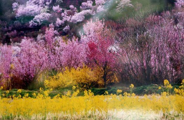 fukushima-vung-dat-cua-nhung-ho-nuoc-xanh-tuyet-dep-ivivu-6