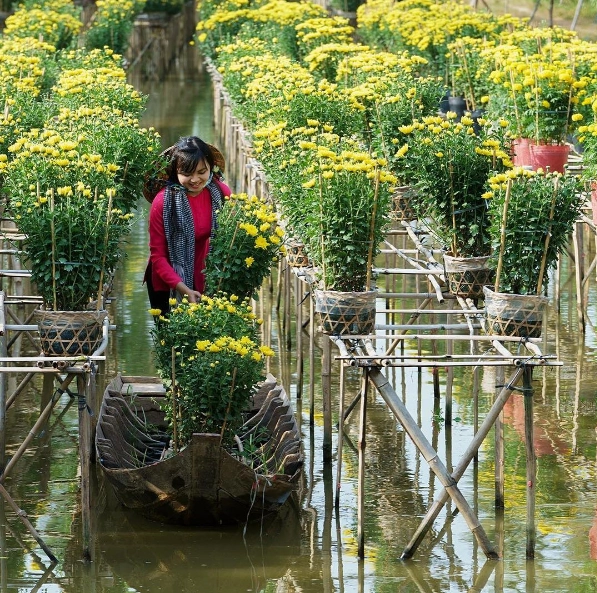 Ảnh: mekongdelta_vietnam