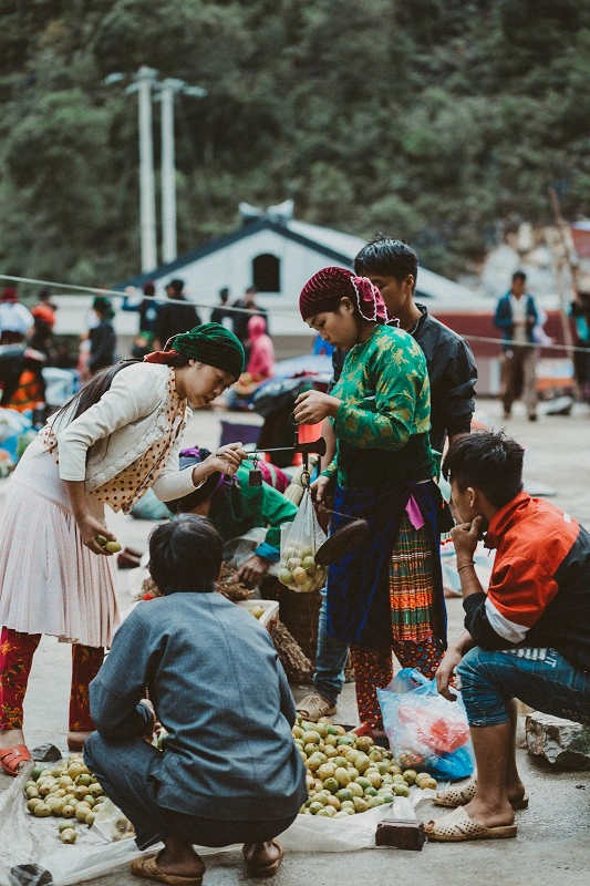 ghe-ha-giang-mua-lua-chin-chiem-nghiem-cuoc-song-binh-di-ivivu-13