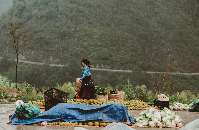 ghe-ha-giang-mua-lua-chin-chiem-nghiem-cuoc-song-binh-di-ivivu-15