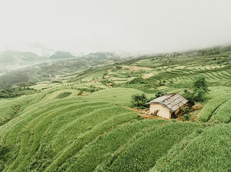 ghe-ha-giang-mua-lua-chin-chiem-nghiem-cuoc-song-binh-di-ivivu-3