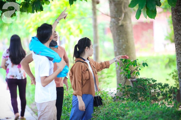 ghe-hue-vao-chua-thien-mu-400-nam-tuoi-ngam-nhung-doa-sala-hoa-cua-su-yen-lanh-ivivu-15