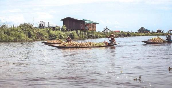 Hồ Inle có cảnh sắc, khí hậu tuyệt vời và lãng mạn, thích hợp đi du lịch vào mọi thời điểm trong năm. Nhưng thời điểm tuyệt vời nhất là vào khoảng tháng 9-10 hàng năm, lúc diễn ra rất nhiều lễ hội với màu sắc bản địa truyền thống.