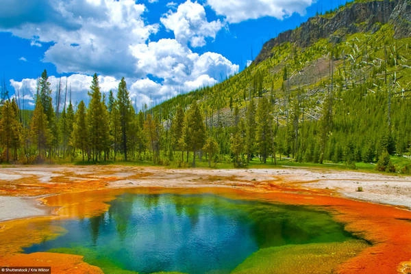 Vườn quốc gia Yellowstone: Với tổng diện tích bao phủ gần 9.000 km2, 96% công viên này nằm ở Wyoming, 3% ở Montana và 1% ở Idaho. Nơi đây có các mạch nước chứa nhiều loại vi khuẩn đầy màu sắc và nhiều loại động, thực vật đang trong tình trạng nguy cấp. Vườn quốc gia Yellowstone: Với tổng diện tích bao phủ gần 9.000 km2, 96% công viên này nằm ở Wyoming, 3% ở Montana và 1% ở Idaho. Nơi đây có các mạch nước chứa nhiều loại vi khuẩn đầy màu sắc và nhiều loại động, thực vật đang trong tình trạng nguy cấp.