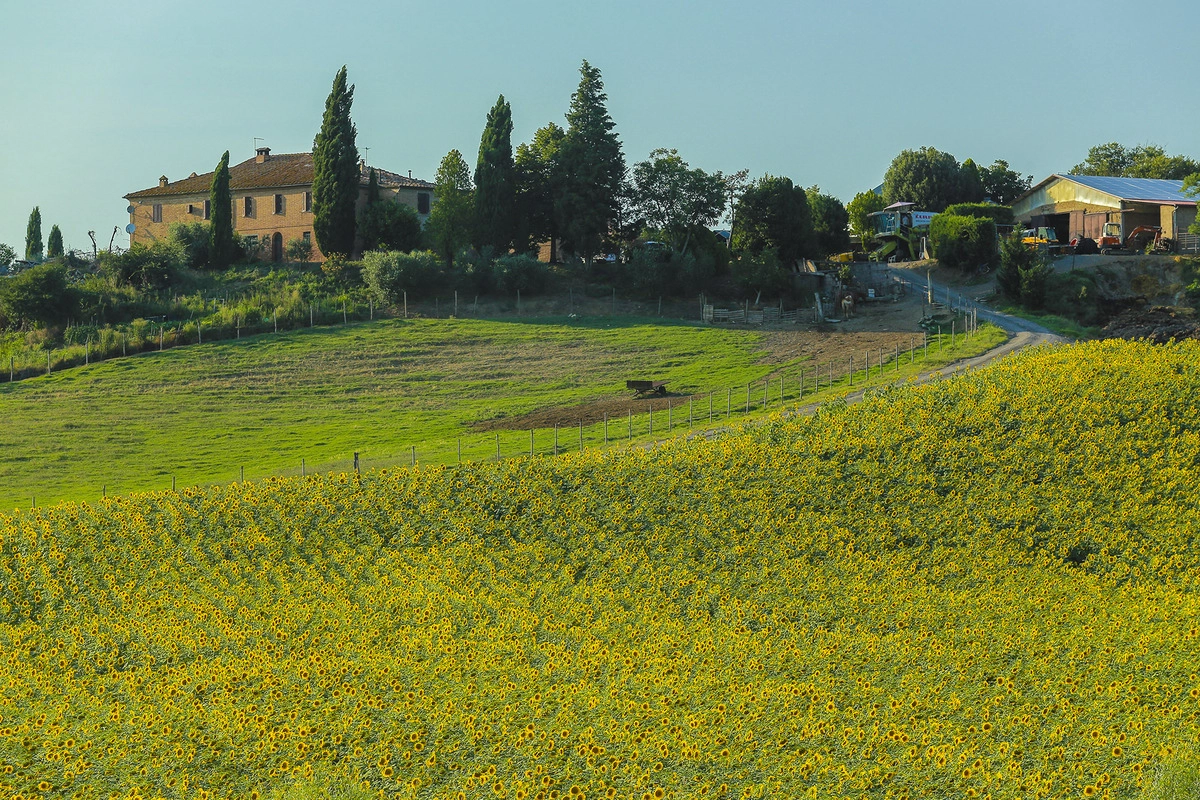 Tuscany-vung-dat-bi-bo-quen-o-y-ivivu-3